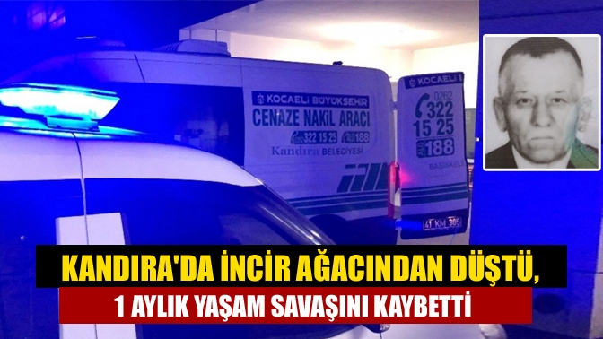 Kandırada İncir ağacından düştü, 1 aylık yaşam savaşını kaybetti