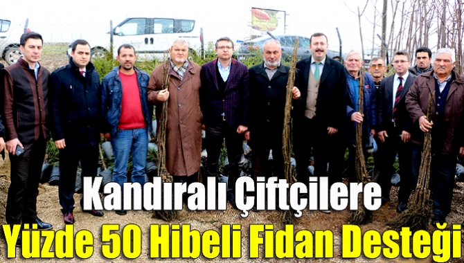 Kandıralı çiftçilere yüzde 50 hibeli fidan desteği