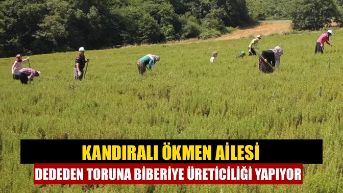 Kandıralı Ökmen ailesi dededen toruna biberiye üreticiliği yapıyor