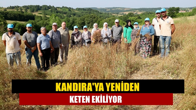 Kandıraya yeniden keten ekiliyor