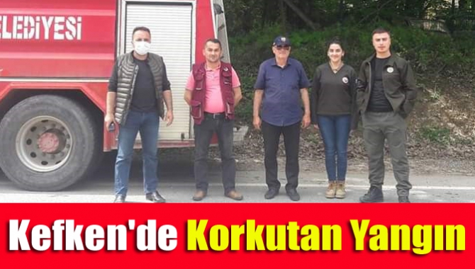 Kefken'de korkutan yangın