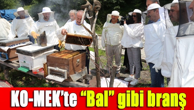 KO-MEK’te “Bal” gibi branş