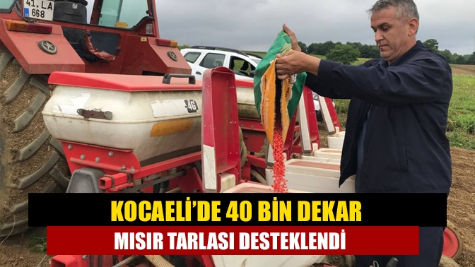 Kocaeli’de 40 bin dekar mısır tarlası desteklendi