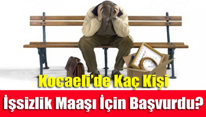 Kocaeli’de Kaç Kişi İşsizlik Maaşı İçin Başvurdu?