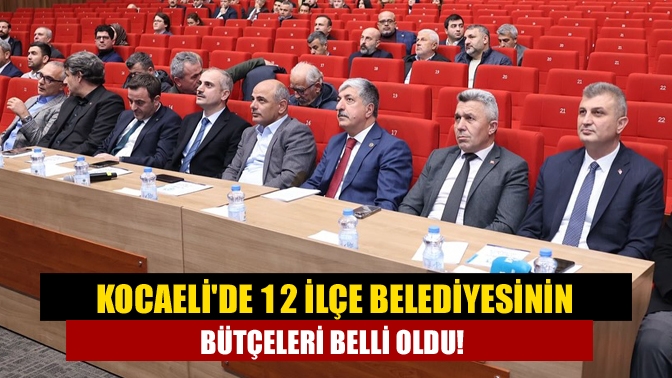 Kocaeli'de 12 ilçe belediyesinin bütçeleri belli oldu!