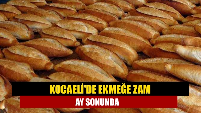 Kocaelide ekmeğe zam ay sonunda