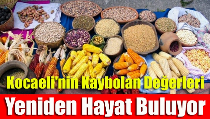 Kocaeli'nin kaybolan değerleri yeniden hayat buluyor