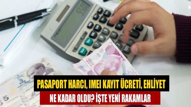 Pasaport harcı, IMEI kayıt ücreti, ehliyet ne kadar oldu? İşte yeni rakamlar