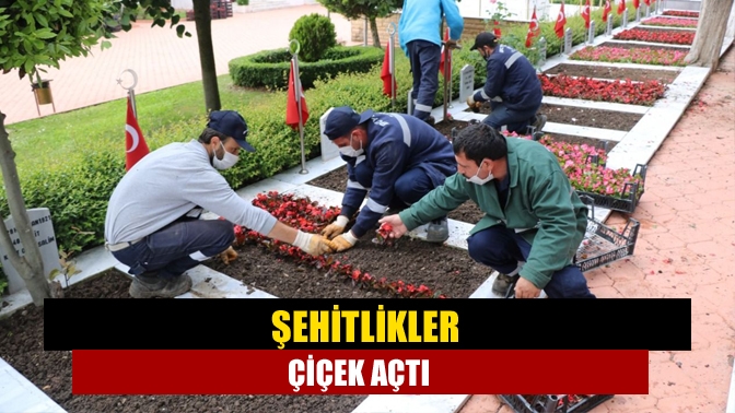 Şehitlikler çiçek açtı