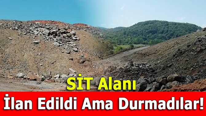 SİT alanı ilan edildi ama durmadılar!