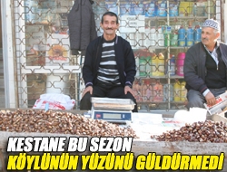 Kestane bu sezon köylünün yüzünü güldürmedi