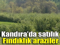 Kandırada satılık fındıklık araziler