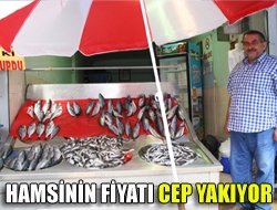 Hamsinin fiyatı cep yakıyor