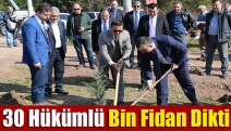 30 hükümlü bin fidan dikti