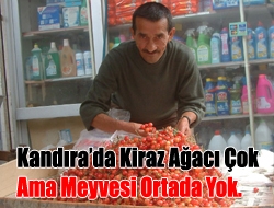 Kandırada kiraz ağacı çok ama meyvesi ortada yok.