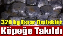 320 kg esrar dedektör köpeğe takıldı