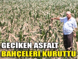 Geciken asfalt bahçeleri kuruttu