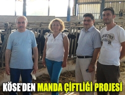 Köseden manda çiftliği projesi