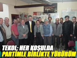 Tekol: Her koşulda partimle birlikte yürürüm