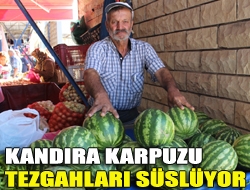 Kandıra Karpuzu tezgahları süslüyor