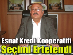 Esnaf Kredi Kooperatifi Seçimi Ertelendi