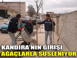 Kandıranın girişi ağaçlarla süsleniyor