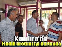 Kandıra'da fındık üretimi iyi durumda