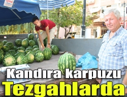 Kandıra karpuzu tezgahlarda