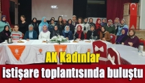 AK Kadınlar istişare toplantısında buluştu