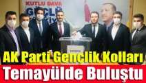 AK Parti Gençlik Kolları temayülde buluştu