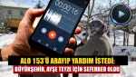 Alo 153’ü arayıp yardım istedi: Büyükşehir, Ayşe Teyze için seferber oldu