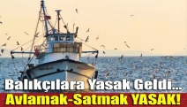 Balıkçılara yasak geldi... Avlamak-satmak YASAK!