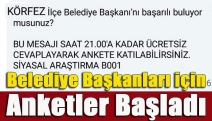 Belediye başkanları için anketler başladı