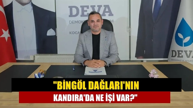 "Bingöl Dağları'nın Kandıra'da ne işi var?"