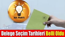 Delege seçim tarihleri belli oldu