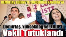 Demirtaş, Yüksekdağ ve 9 HDP'li vekil tutuklandı