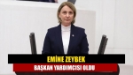 Emine Zeybek başkan yardımcısı oldu