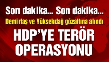 HDP'ye terör operasyonu