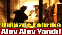 İlimizde fabrika alev alev yandı!