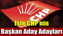 İşte CHP'nin başkan aday adayları