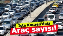 İşte Kocaeli'deki araç sayısı!