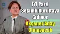 İYİ Parti seçimli kurultaya gidiyor, Akşener aday olmayacak