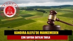 Kandıra Alefli'de mahkemeden çok sayıda satılık tarla