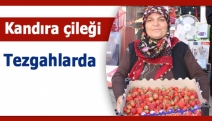 Kandıra çileği tezgahlarda