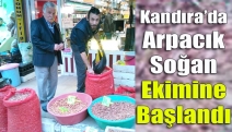 Kandıra’da arpacık soğan ekimine başlandı