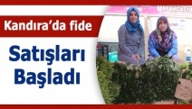 Kandıra’da fide satışları başladı