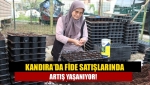 Kandıra’da fide satışlarında artış yaşanıyor!