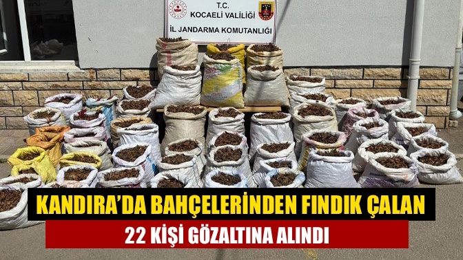 Kandıra’da fındık çalan 22 kişi gözaltına alındı