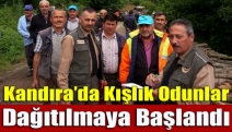 Kandıra’da kışlık odunlar dağıtılmaya başlandı