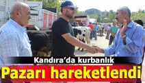 Kandıra’da kurbanlık pazarı hareketlendi